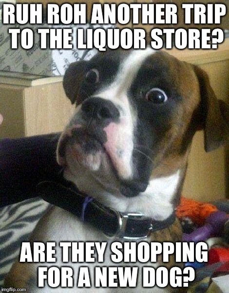 Licker Store | RUH ROH ANOTHER TRIP TO THE LIQUOR STORE? ARE THEY SHOPPING FOR A NEW DOG? | image tagged in surprised dog,memes,funny | made w/ Imgflip meme maker