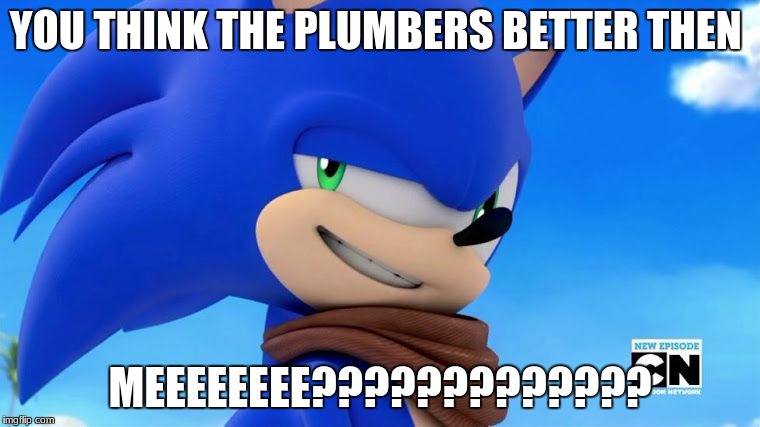 Sonic Meme | YOU THINK THE PLUMBERS BETTER THEN; MEEEEEEEE????????????? | image tagged in sonic meme | made w/ Imgflip meme maker