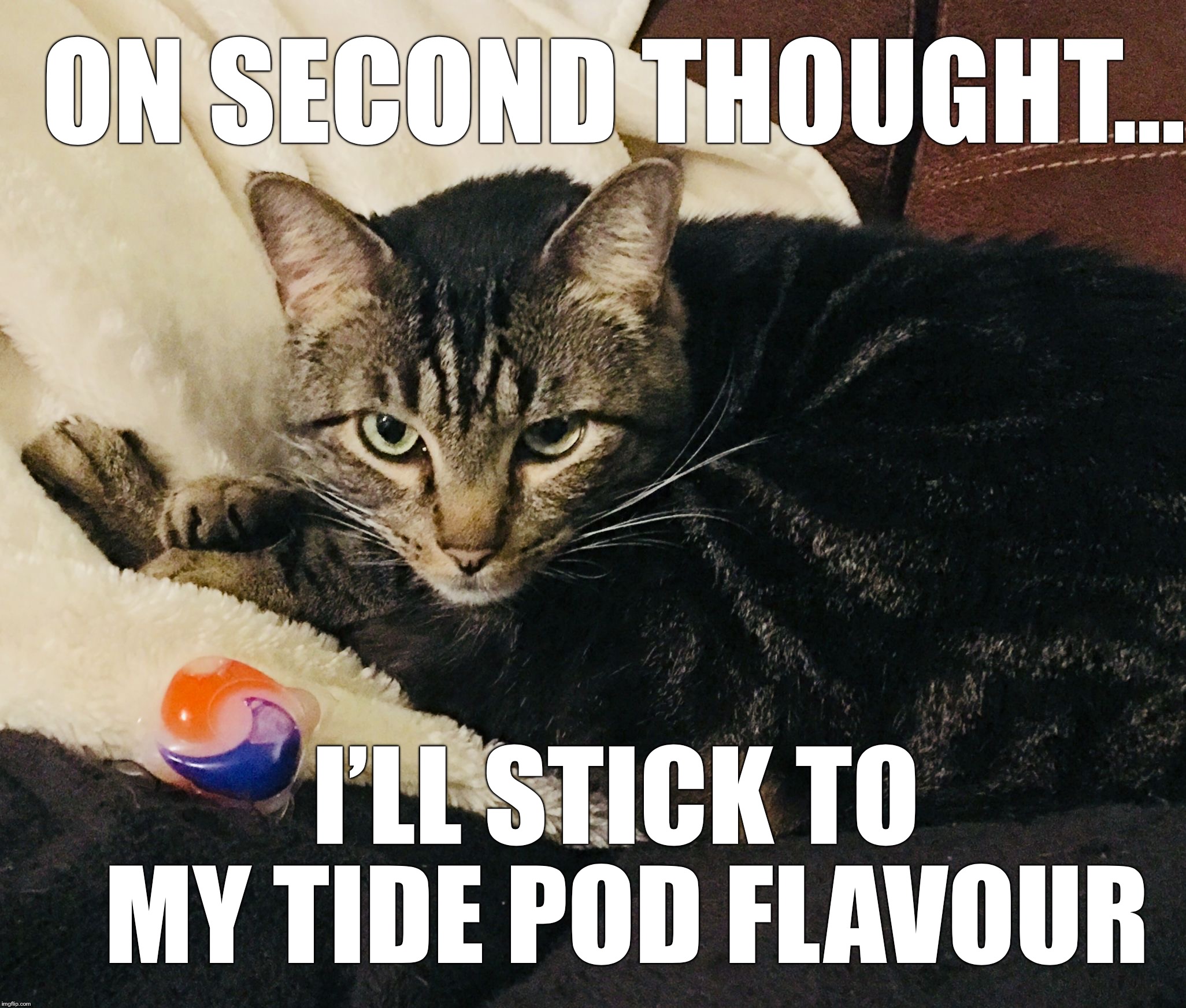 ON SECOND THOUGHT... I’LL STICK TO MY TIDE POD FLAVOUR | made w/ Imgflip meme maker