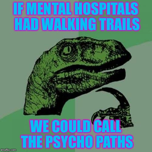Philosoraptor | IF MENTAL HOSPITALS HAD WALKING TRAILS; WE COULD CALL THE PSYCHO PATHS | image tagged in memes,philosoraptor | made w/ Imgflip meme maker