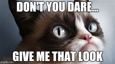 DON'T YOU DARE... GIVE ME THAT LOOK | image tagged in x x everywhere,say that again i dare you | made w/ Imgflip meme maker
