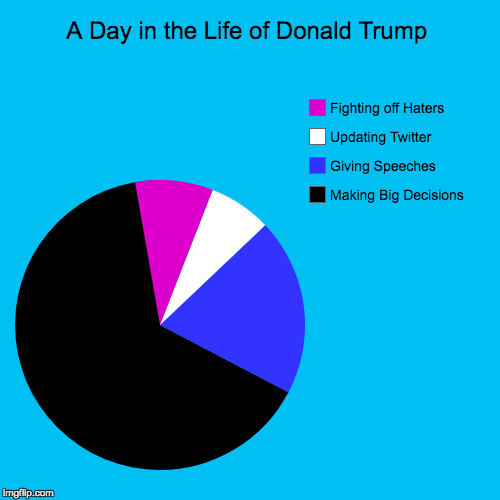 A Day in the Life of Donald Trump | Making Big Decisions, Giving Speeches, Updating Twitter, Fighting off Haters | image tagged in funny,pie charts | made w/ Imgflip chart maker