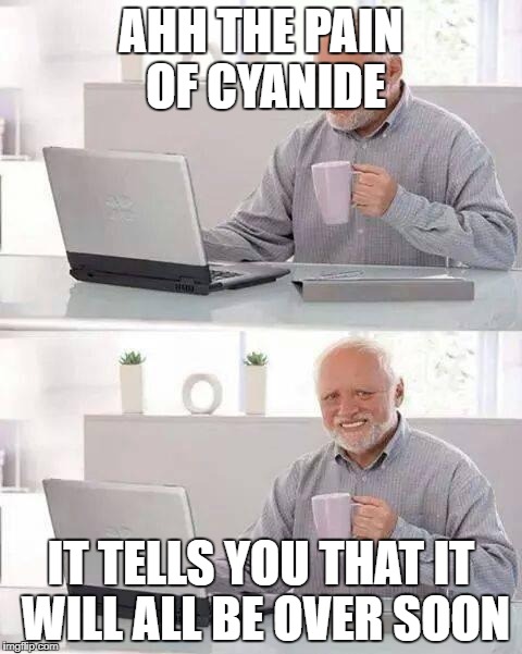 cyanide coffee | AHH THE PAIN OF CYANIDE; IT TELLS YOU THAT IT WILL ALL BE OVER SOON | image tagged in memes,hide the pain harold,cyanide,funny | made w/ Imgflip meme maker
