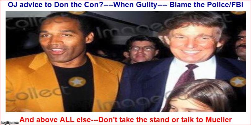image tagged in oj advice to trump | made w/ Imgflip meme maker