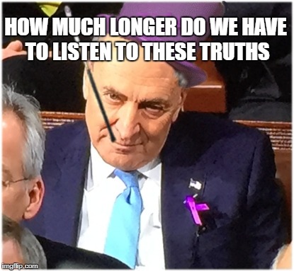 Shurmer is The Penguin | HOW MUCH LONGER DO WE HAVE TO LISTEN TO THESE TRUTHS | image tagged in shurmer penguin ith,kevin you penguin you,demtards,libtardos,memes memos memos | made w/ Imgflip meme maker