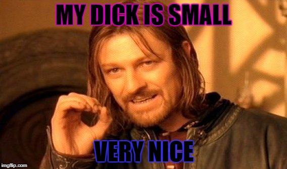 One Does Not Simply Meme | MY DICK IS SMALL; VERY NICE | image tagged in memes,one does not simply | made w/ Imgflip meme maker
