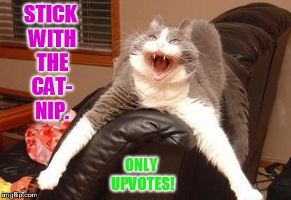 STICK WITH THE CAT- NIP. ONLY UPVOTES! | made w/ Imgflip meme maker