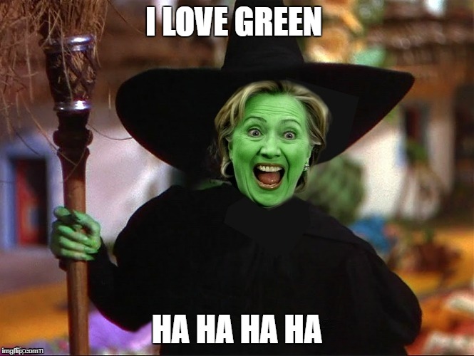 Witchy See Lynn Ton | I LOVE GREEN HA HA HA HA | image tagged in witchy see lynn ton | made w/ Imgflip meme maker