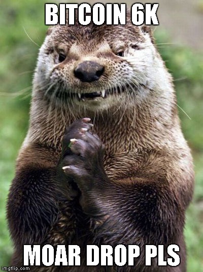 Evil Otter | BITCOIN 6K; MOAR DROP PLS | image tagged in memes,evil otter | made w/ Imgflip meme maker