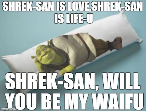 Shrek Body Pillow | SHREK-SAN IS LOVE,SHREK-SAN IS LIFE-U; SHREK-SAN, WILL YOU BE MY WAIFU | image tagged in shrek is waifu,memes,shrek,ded,featured | made w/ Imgflip meme maker