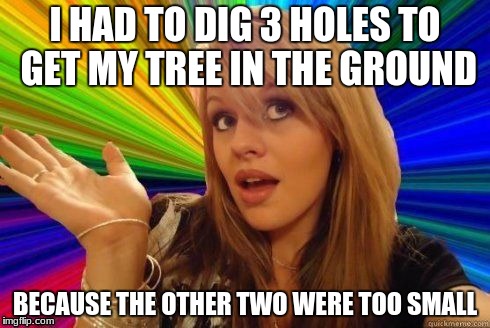 Dumb Blonde | I HAD TO DIG 3 HOLES TO GET MY TREE IN THE GROUND; BECAUSE THE OTHER TWO WERE TOO SMALL | image tagged in dumb blonde | made w/ Imgflip meme maker