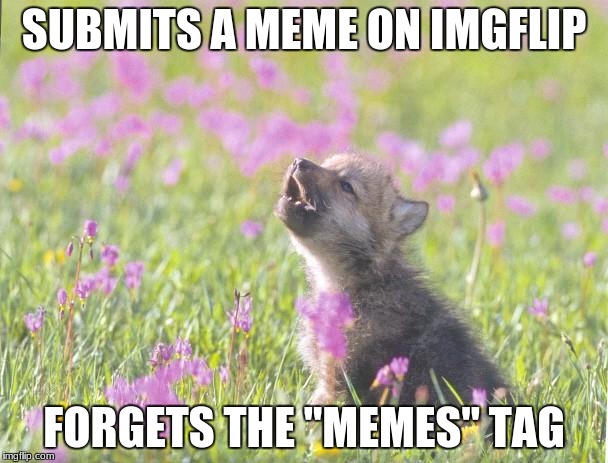 Baby Insanity Wolf | SUBMITS A MEME ON IMGFLIP; FORGETS THE "MEMES" TAG | image tagged in memes,baby insanity wolf | made w/ Imgflip meme maker