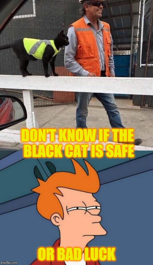 Safety first | DON'T KNOW IF THE BLACK CAT IS SAFE; OR BAD LUCK | image tagged in futurama fry,cat,safety,pipe_picasso | made w/ Imgflip meme maker