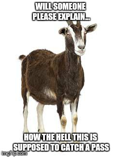 Goat | WILL SOMEONE PLEASE EXPLAIN... HOW THE HELL THIS IS SUPPOSED TO CATCH A PASS | image tagged in memes | made w/ Imgflip meme maker