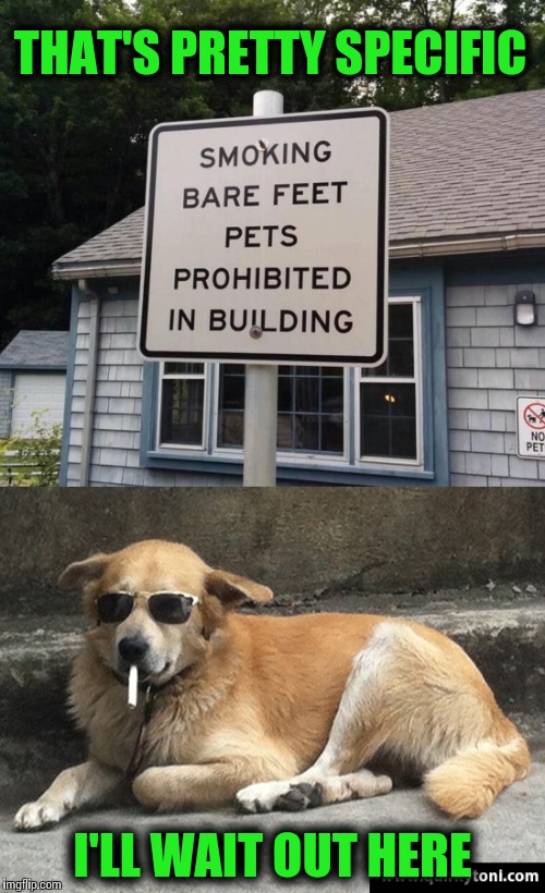 It's going to the dogs | THAT'S PRETTY SPECIFIC; I'LL WAIT OUT HERE | image tagged in sign,smoking dog,pipe_picasso | made w/ Imgflip meme maker