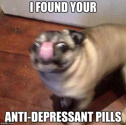 doggo | I FOUND YOUR; ANTI-DEPRESSANT PILLS | image tagged in doggo | made w/ Imgflip meme maker