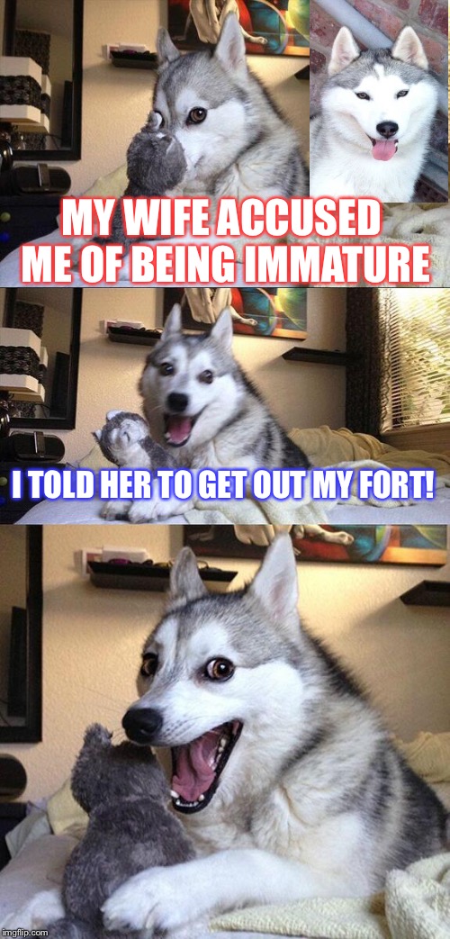 Bad Pun Dog's Wife | MY WIFE ACCUSED ME OF BEING IMMATURE; I TOLD HER TO GET OUT MY FORT! | image tagged in memes,bad pun dog,animals,comedy,2018 | made w/ Imgflip meme maker