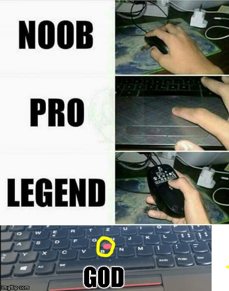 Noob