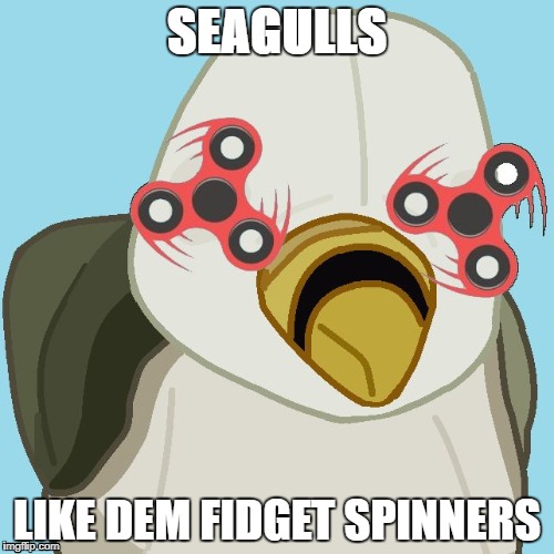 SEAGULLS; LIKE DEM FIDGET SPINNERS | image tagged in gruntz4000 | made w/ Imgflip meme maker