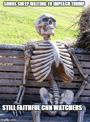 Waiting Skeleton Meme | SOROS SHEEP WAITING TO IMPEACH TRUMP; STILL FAITHFUL CNN WATCHERS | image tagged in memes,waiting skeleton | made w/ Imgflip meme maker