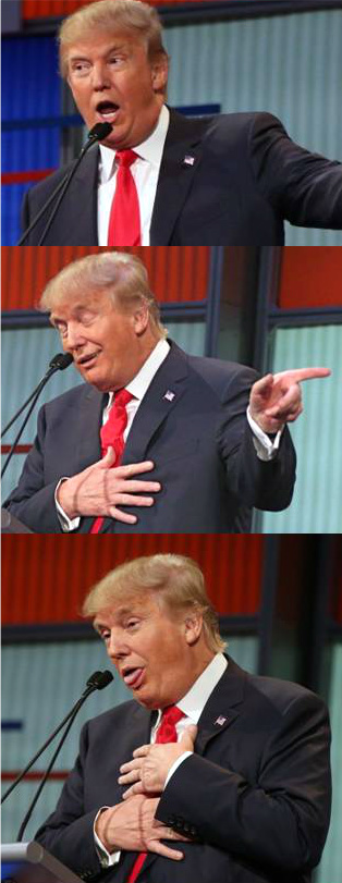 Bad_Pun_Trump Blank Meme Template
