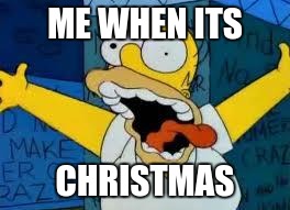 Homer Going Crazy | ME WHEN ITS; CHRISTMAS | image tagged in homer going crazy | made w/ Imgflip meme maker