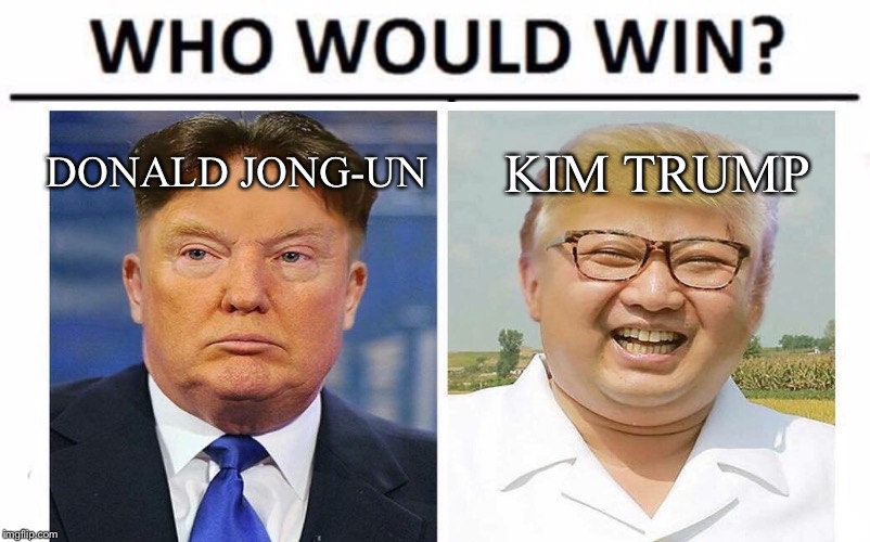 Donald Trump memes | DONALD JONG-UN; KIM TRUMP | image tagged in memes,who would win | made w/ Imgflip meme maker