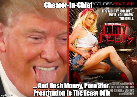 Image result for pax on both houses, stormy daniels