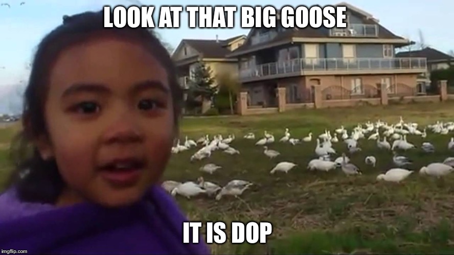 Look at All Those Chickens | LOOK AT THAT BIG GOOSE; IT IS DOP | image tagged in look at all those chickens | made w/ Imgflip meme maker