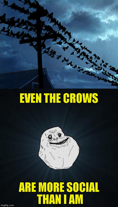 After the first 3 Resident Evil games,I get a strong feeling of panic when I see a bunch of crows around.... | EVEN THE CROWS; ARE MORE SOCIAL THAN I AM | image tagged in memes,forever alone,crows,powermetalhead,resident evil,funny | made w/ Imgflip meme maker