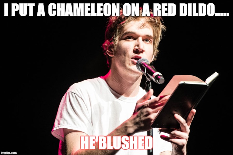 chameleon | I PUT A CHAMELEON ON A RED DILDO..... HE BLUSHED | image tagged in bo burnham | made w/ Imgflip meme maker