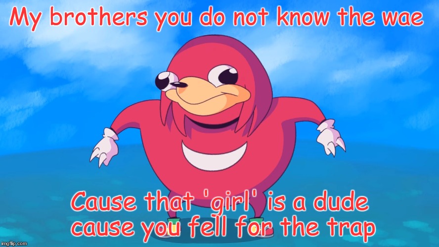 When someone mistakes anime trap for anime girl | My brothers you do not know the wae; Cause that 'girl' is a dude cause you fell for the trap | image tagged in uganda knuckles,it's a trap,trap,memes,funny,do you know da wae | made w/ Imgflip meme maker