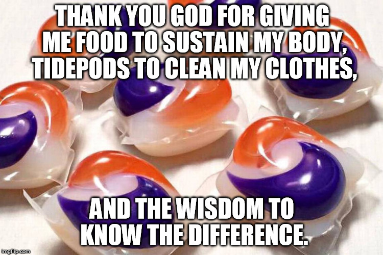 Wisdom | THANK YOU GOD FOR GIVING ME FOOD TO SUSTAIN MY BODY, TIDEPODS TO CLEAN MY CLOTHES, AND THE WISDOM TO KNOW THE DIFFERENCE. | image tagged in tide pod challenge | made w/ Imgflip meme maker
