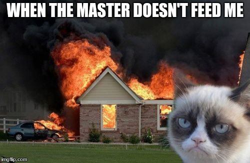 Burn Kitty | WHEN THE MASTER DOESN'T FEED ME | image tagged in memes,burn kitty,grumpy cat | made w/ Imgflip meme maker