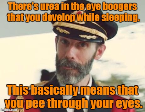 Captain Obvious | There's urea in the eye boogers that you develop while sleeping. This basically means that you pee through your eyes. | image tagged in captain obvious | made w/ Imgflip meme maker