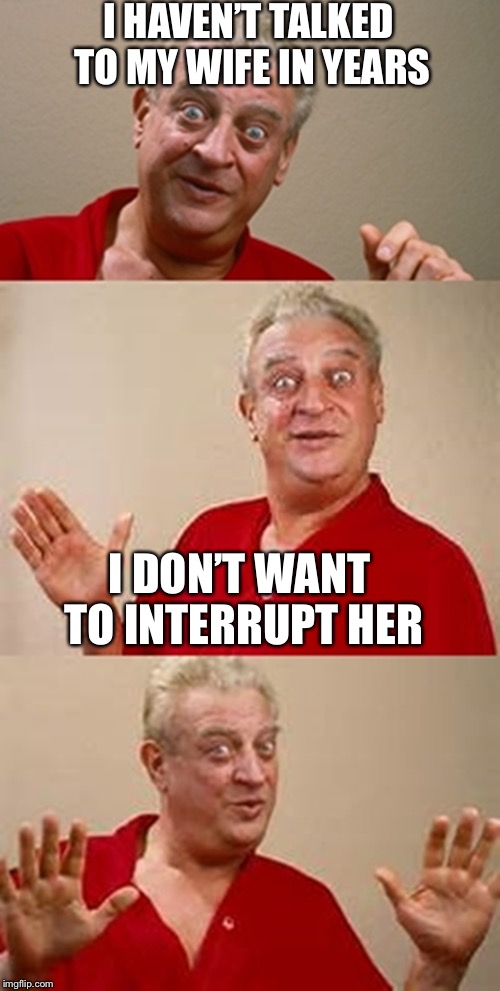 bad pun Dangerfield  | I HAVEN’T TALKED TO MY WIFE IN YEARS; I DON’T WANT TO INTERRUPT HER | image tagged in bad pun dangerfield | made w/ Imgflip meme maker