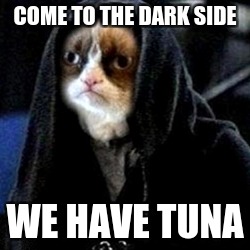 Grumpy Cat Star Wars | COME TO THE DARK SIDE; WE HAVE TUNA | image tagged in grumpy cat star wars | made w/ Imgflip meme maker