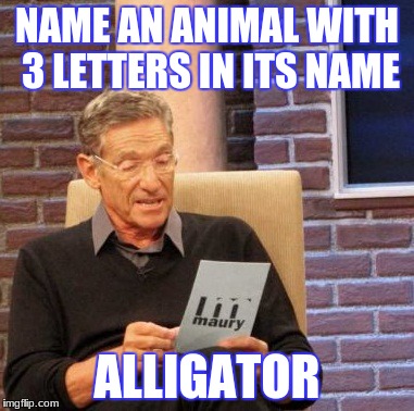 Maury Lie Detector Meme | NAME AN ANIMAL WITH 3 LETTERS IN ITS NAME; ALLIGATOR | image tagged in memes,maury lie detector | made w/ Imgflip meme maker