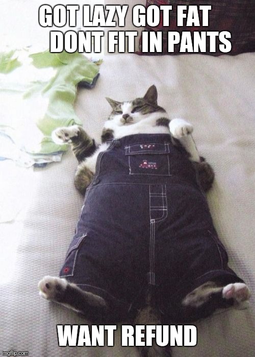 Fat Cat Meme | GOT LAZY
GOT FAT     

DONT FIT IN PANTS; WANT REFUND | image tagged in memes,fat cat | made w/ Imgflip meme maker