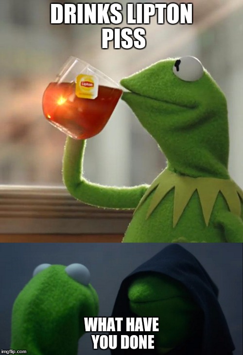Why | DRINKS LIPTON PISS; WHAT HAVE YOU DONE | image tagged in kermit the frog | made w/ Imgflip meme maker