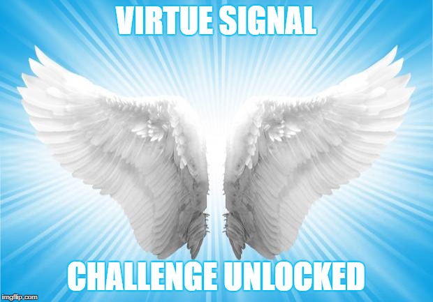 Angels | VIRTUE SIGNAL; CHALLENGE UNLOCKED | image tagged in angels,virtue signal,virtue signalling,challenge unlocked,wings,saint | made w/ Imgflip meme maker