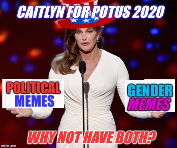 It's time for a flippin' change ;-) | CAITLYN FOR POTUS 2020; WHY NOT HAVE BOTH? | image tagged in caitlyn jenner,political meme,tired of hearing about transgenders,genders,potus | made w/ Imgflip meme maker