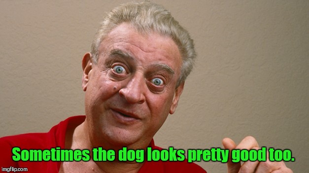 Sometimes the dog looks pretty good too. | made w/ Imgflip meme maker