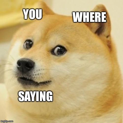 Doge | YOU; WHERE; SAYING | image tagged in memes,doge | made w/ Imgflip meme maker