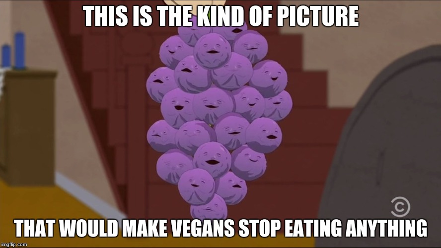 Vegans, beware of the member berries! | THIS IS THE KIND OF PICTURE; THAT WOULD MAKE VEGANS STOP EATING ANYTHING | image tagged in memes,member berries,vegan,beware,sewmyeyesshut | made w/ Imgflip meme maker
