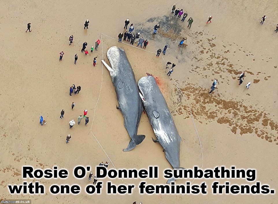 Rosie O'Donnell sunbathing |  Rosie O' Donnell sunbathing with one of her feminist friends. | image tagged in beached whales,beachedwhale,rosie o'donnell | made w/ Imgflip meme maker