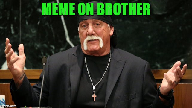 Confused hulk hogan | MEME ON BROTHER | image tagged in confused hulk hogan | made w/ Imgflip meme maker
