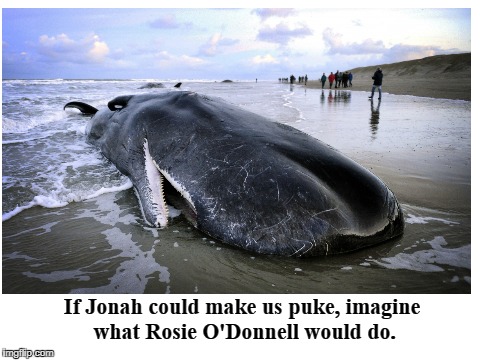 If Jonah could make us puke, imagine what Rosie O'Donnell would do. | If Jonah could make us puke, imagine what Rosie O'Donnell would do. | image tagged in jonah,rosie o'donnell,beached whale,puke | made w/ Imgflip meme maker