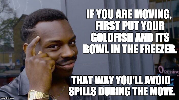 Roll Safe Think About It Meme | IF YOU ARE MOVING, FIRST PUT YOUR GOLDFISH AND ITS BOWL IN THE FREEZER. THAT WAY YOU'LL AVOID SPILLS DURING THE MOVE. | image tagged in memes,roll safe think about it | made w/ Imgflip meme maker