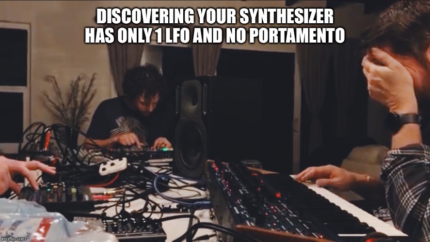 DISCOVERING YOUR SYNTHESIZER HAS ONLY 1 LFO AND NO PORTAMENTO | image tagged in earmonkey | made w/ Imgflip meme maker